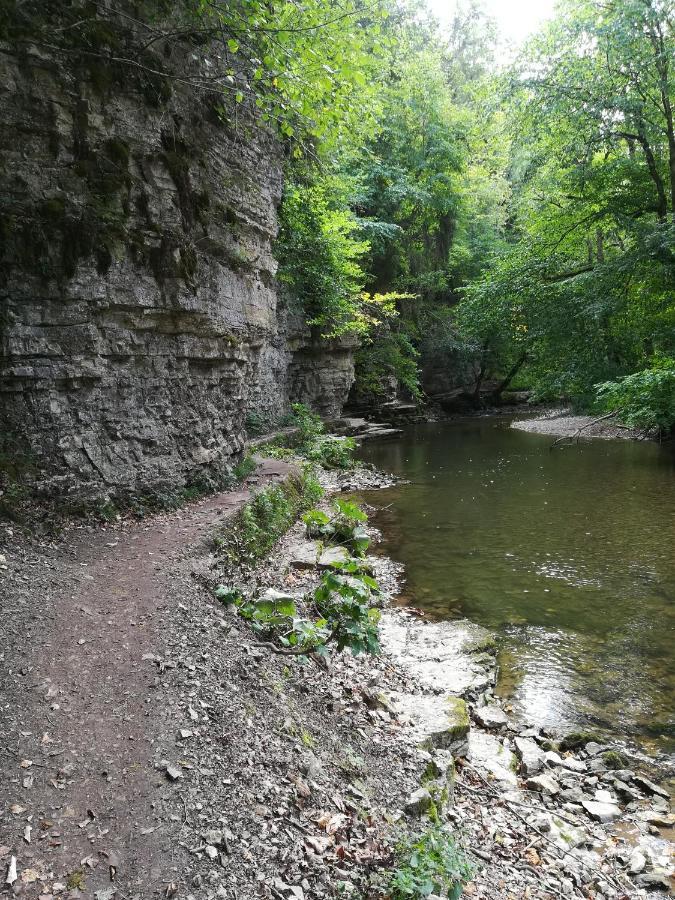 Hasenfratz Loeffingen