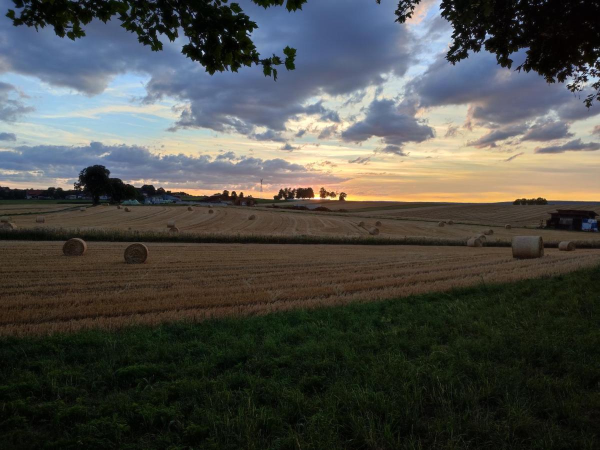 Hasenfratz