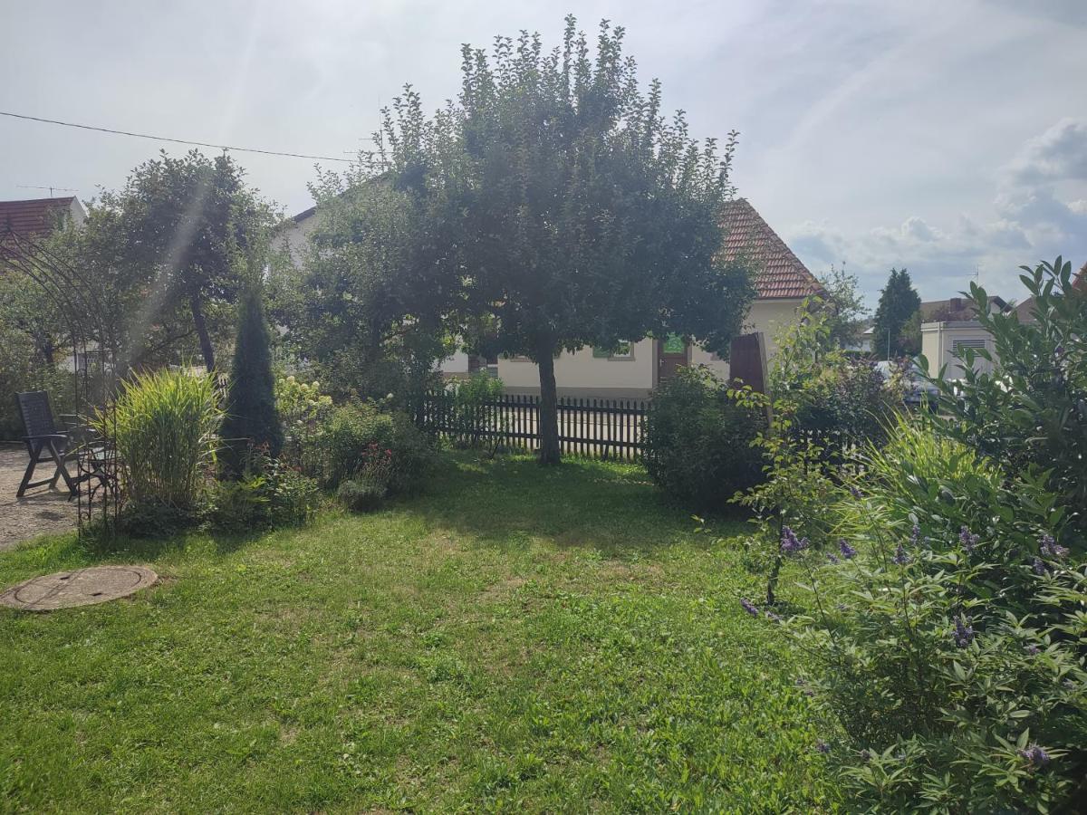 Hasenfratz Loeffingen