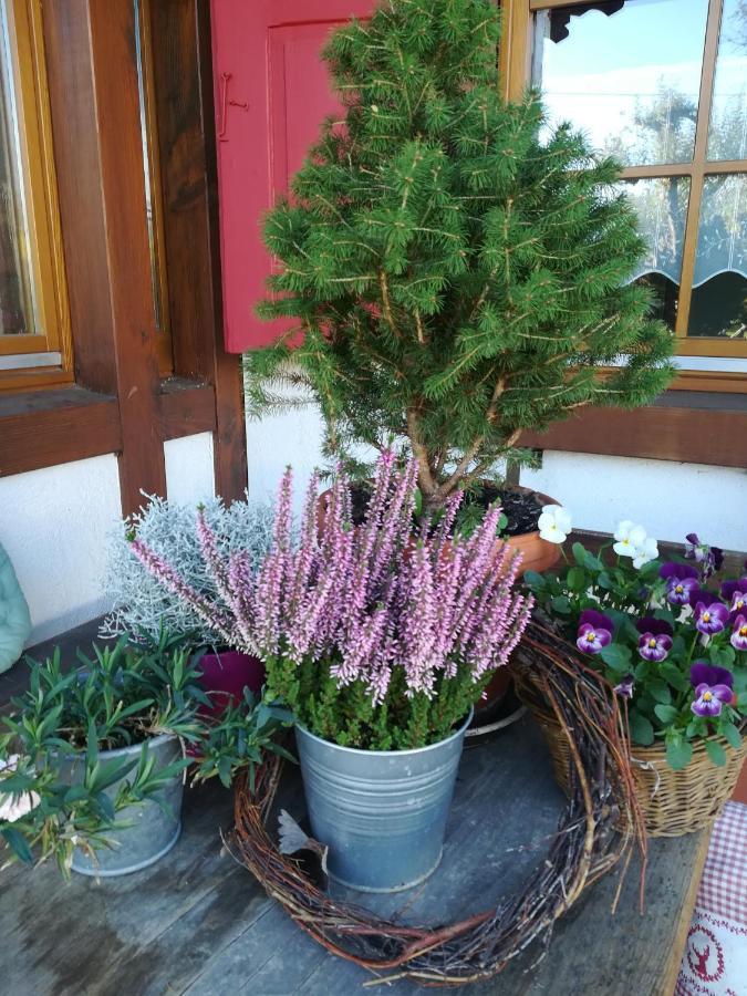 Hasenfratz Apartment *